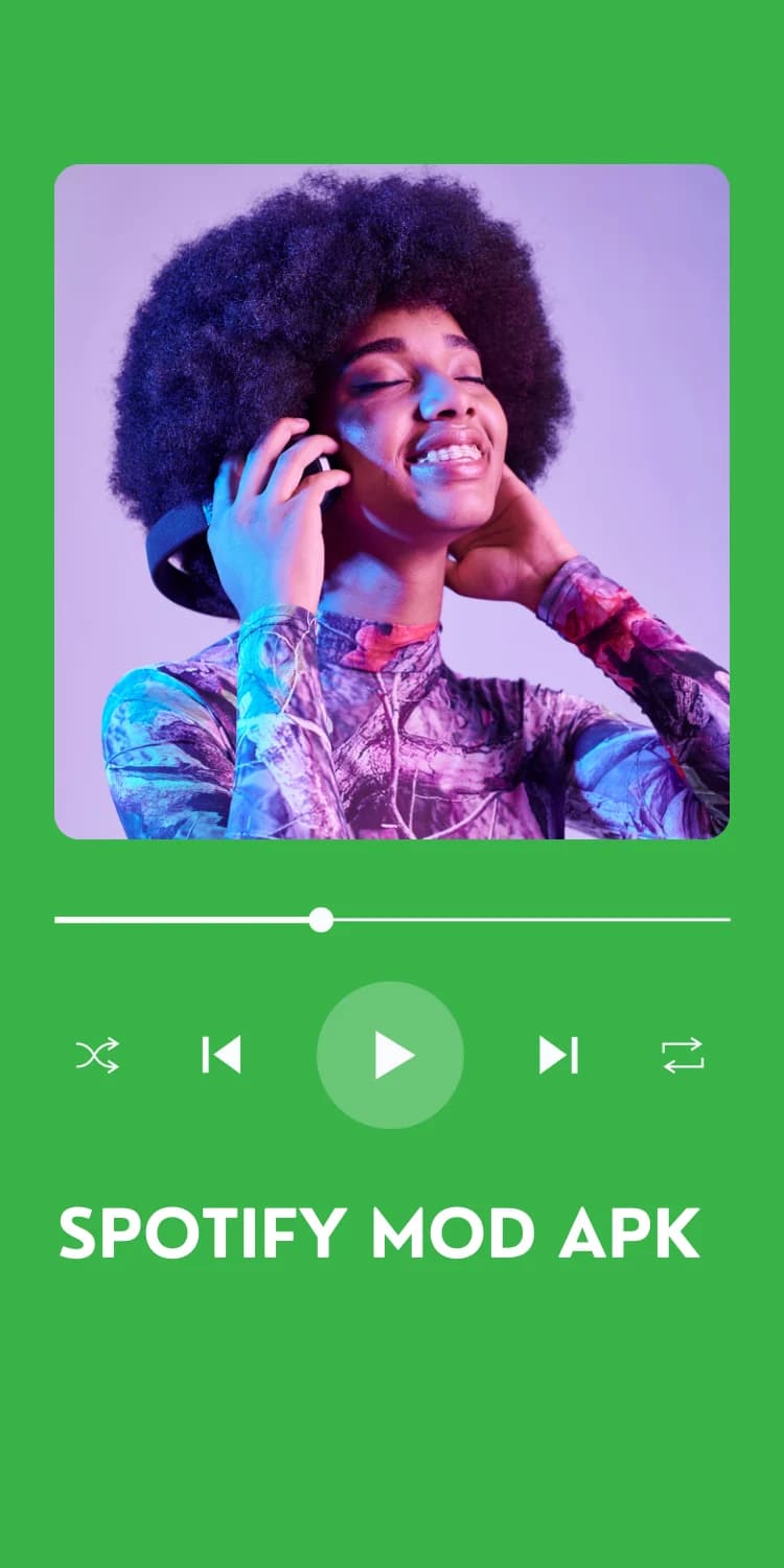 Spotify Premium app interface